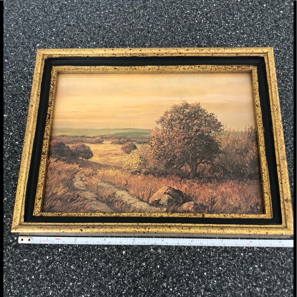 Framed vintage print of Texas countryside